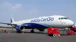 Airline Ground staff, airport job