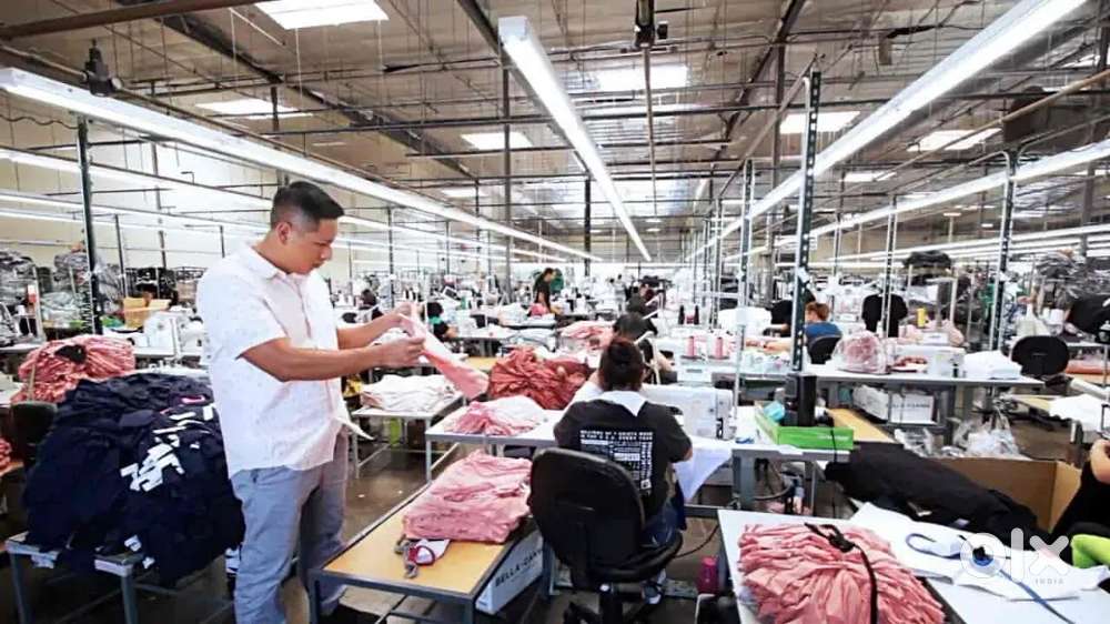 Vacancy in fresher & experience holder