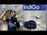 Hurry up vacancies for Ground staff near airport apply fast