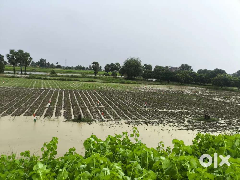 PLOTS BEFORE POTHAI