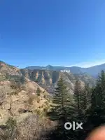 Best Fully Furnished Room in Shimla