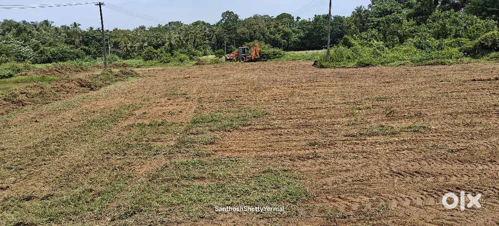 Magnificent Picture Perfect Plot