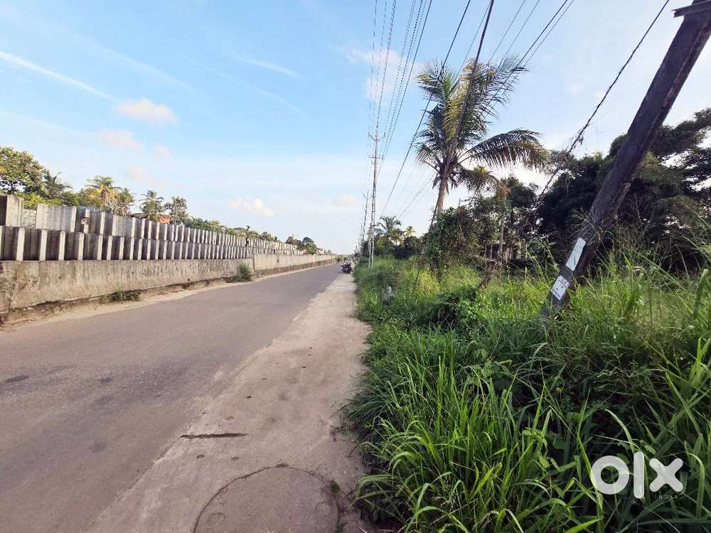 53Cent Commercial Land for Sale – Near Koonammavu, Varapuzha