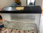 Fish tank nice condition