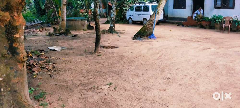 17 സെന്റ്‌ വസ്തു വവ്വാക്കാവ് പുത്തെൻതെരുവിൽ വില്പനക്ക്