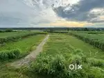 Plot for sale in doiwala-