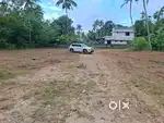 1.25 acre land for sale naer Athani Kurumasseri