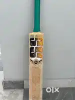 English willow player profile bat