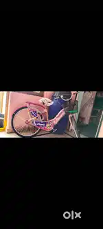 New cycle one month used
