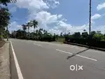 Ernakulam Nedumbassery near highway 3acre land cent 8lakh