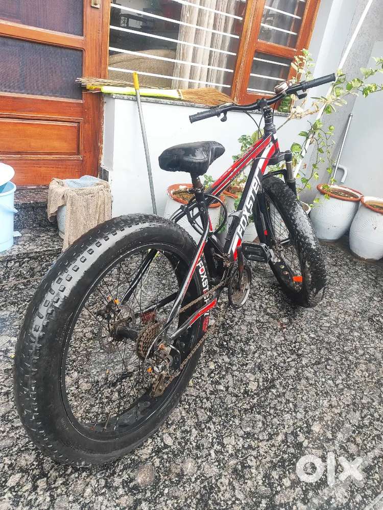 Fatbike cycle