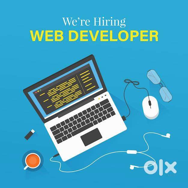 Website Developer