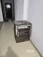 Cooler  mini