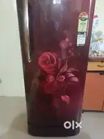 LG 185L single door fridge with freezer