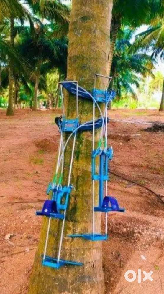തെങ്ങു കയറ്റം