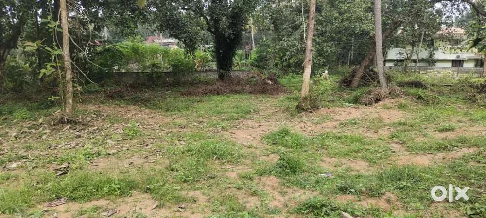 8,12 സെന്റ് വസ്തു വില്പ്പനക്ക്‌