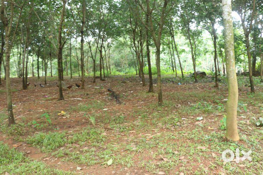 3 acre land near Ettumanoor-Pala road 8500/cent