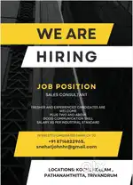 Sales consultant