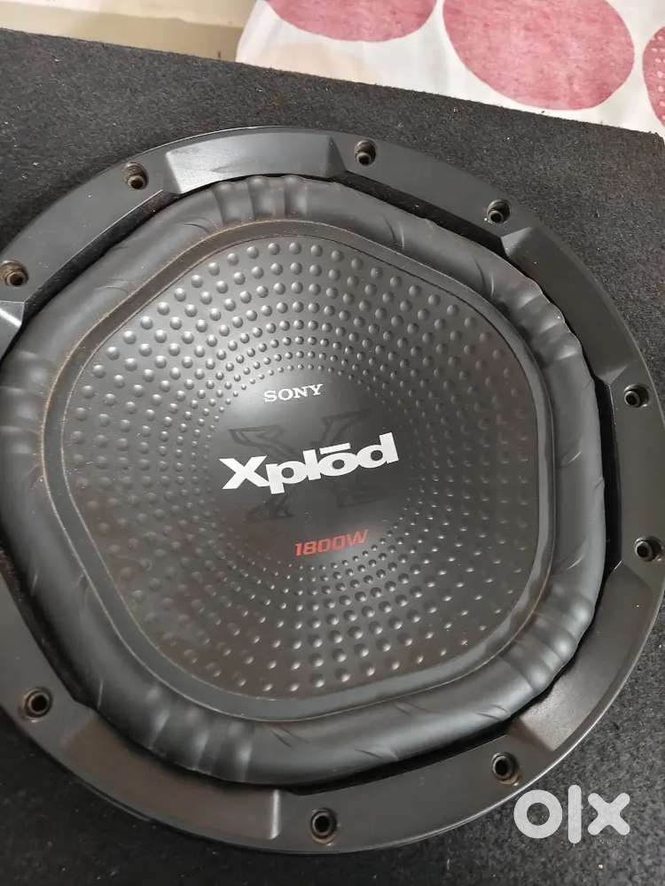 12 INCH  SUBWOOFER