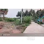 Land for sale 384 Gaza (8 cents)