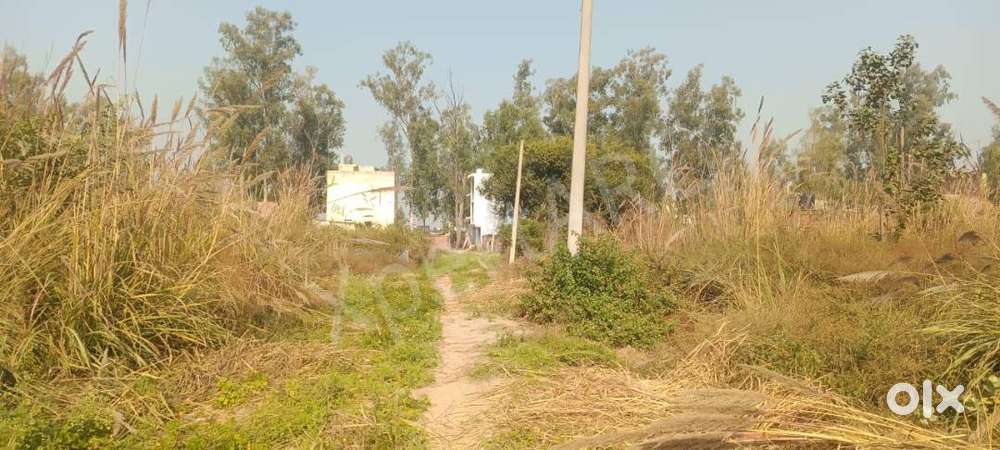 Open Plot in Sundpur