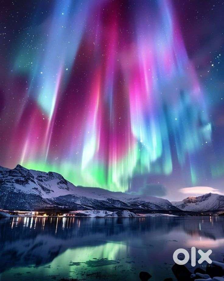 Wanted a experienced driver with good habit and dedication