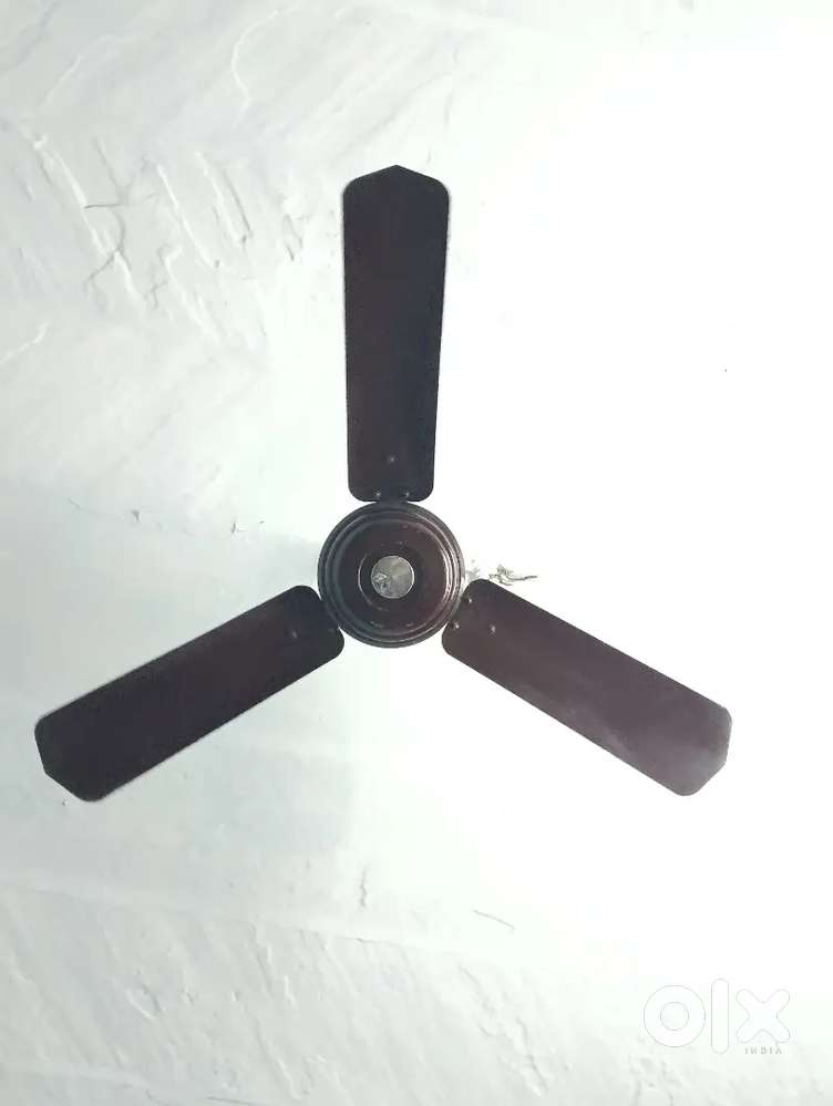 Ceiling Fan