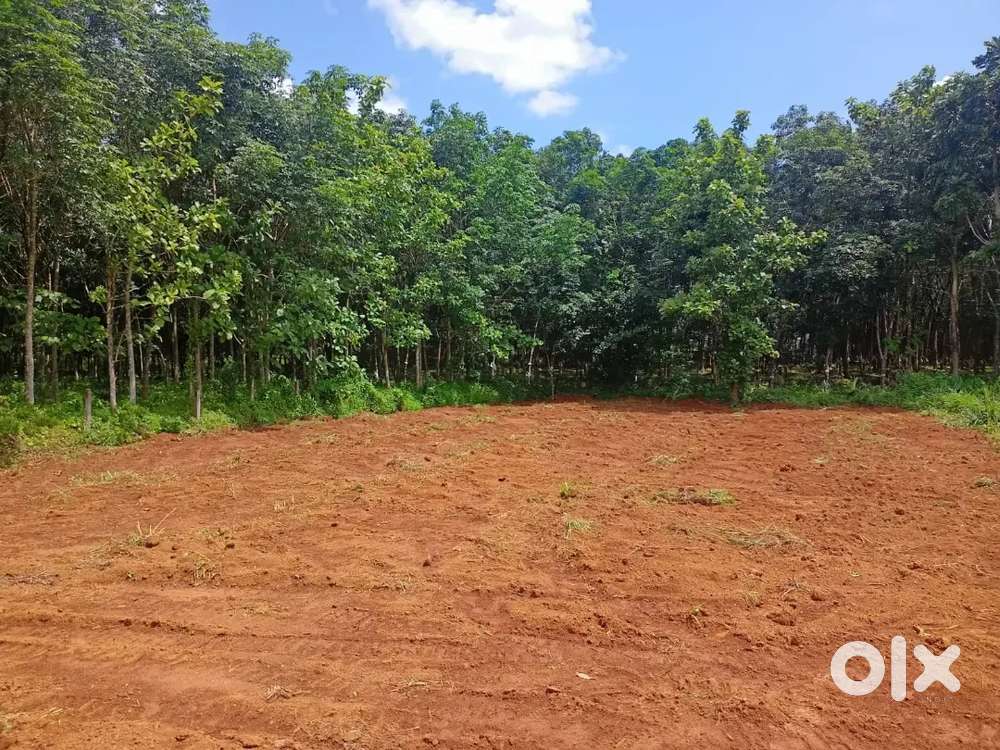 16 cent house plot