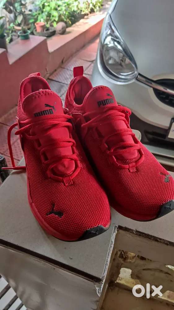 Imported Puma Shoes UK size 8