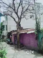 Round building , Ground floor ,  west facing house