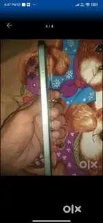 Redmi a 3x brand new condition