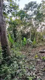 Land with borewell
