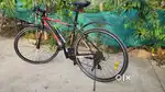 IBX Cycle Hybrid B