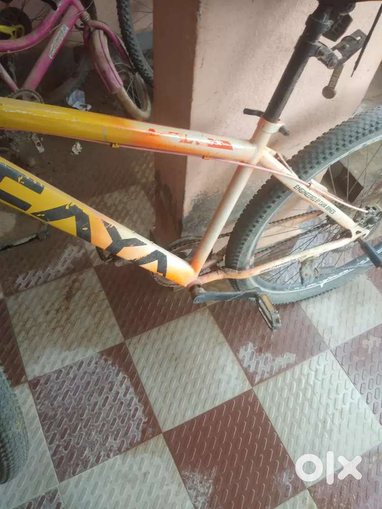 Caya cycle