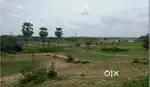 Huge land parcel in Banki Mongra