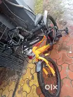 radiant kids cycle
