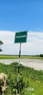 Urgent Land for Sale