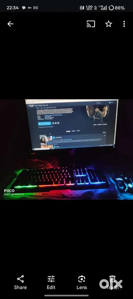 Monitor and Graphic card