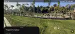 Green Valley Colony