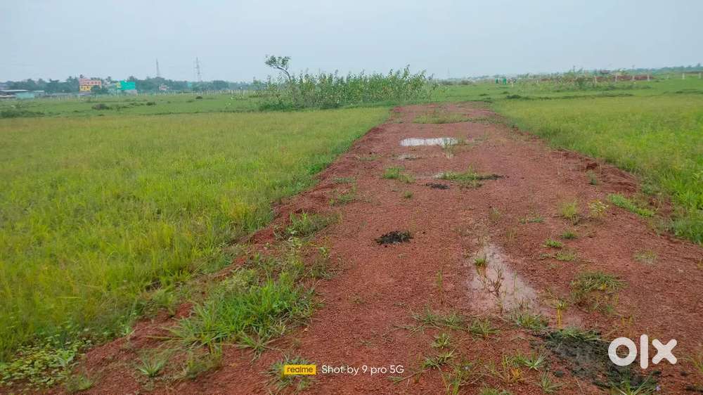Plot for sale near bhagbanpur/patrapada