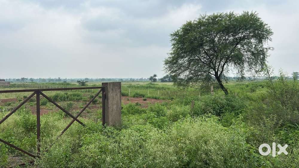 Plot for Farmhouse is available for sale near Mandir Hasaud
