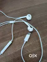Apple type C earpods.
