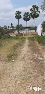 Mudinepalli,Guraza Road 7cents in a spot construct open plot for Sale.