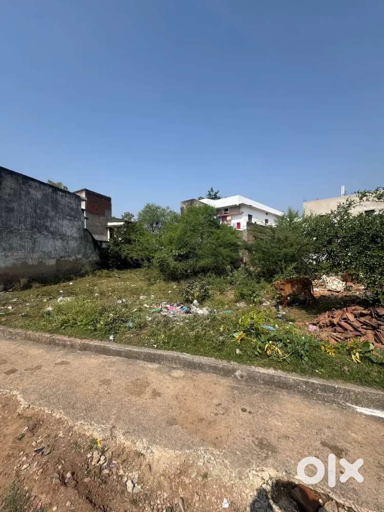 5 Dismil ka plot bechna hai road se lga hua hai lene wale contact kare