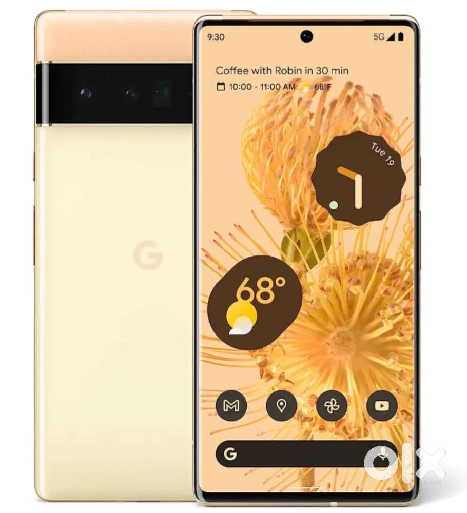 Pixel 6pro