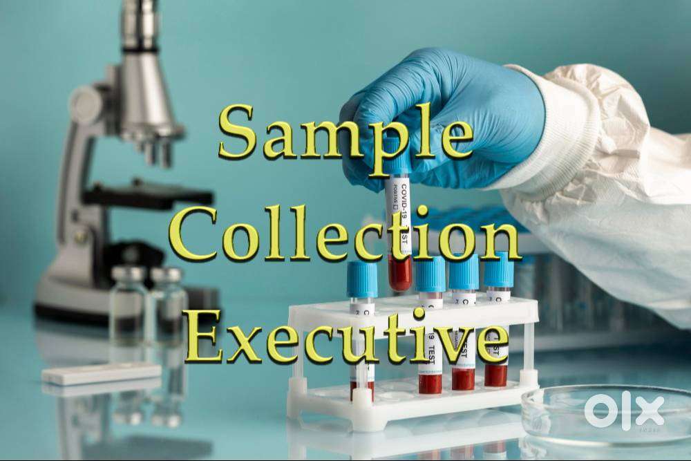 Sample Collection Executive