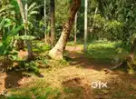 Land plot for sale