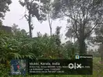 1 acre Cardamom and Old house for Sale