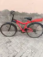 Bicycle best