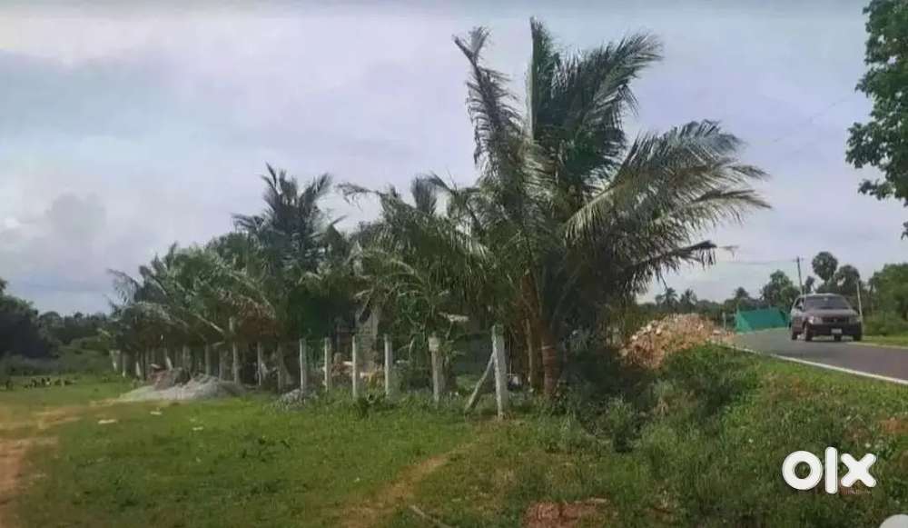 KINATHUKADAVU VADAPUDUR THAR ROAD FACE